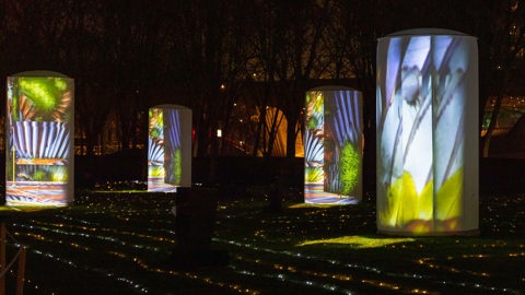 From the Light Flow: Bena Kooliny Light Projections on large cylinders